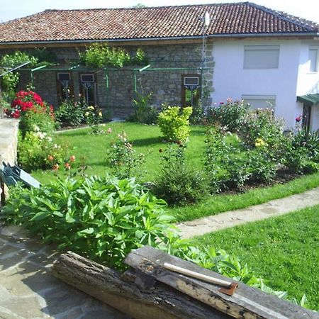 Vanda Guest House ارباناسي المظهر الخارجي الصورة